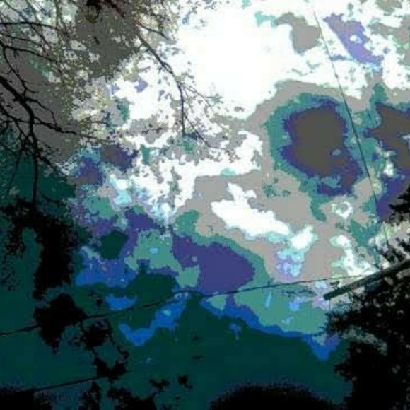 Not 4 Sale - Picture 3 of 16